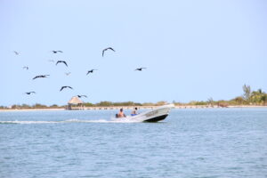 Holbox Tour with Pick Up and Lunch. OlMar Travel Mexico.